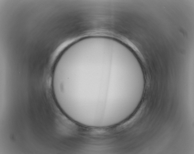 X0000114421462200910161043