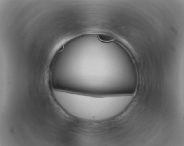 X0000114421463200910161043
