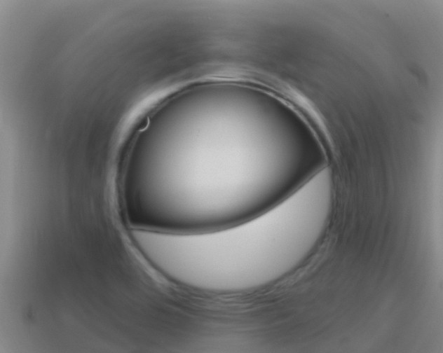 X0000114421464200910161043
