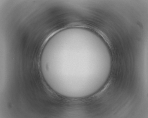 X0000114421465200910161043