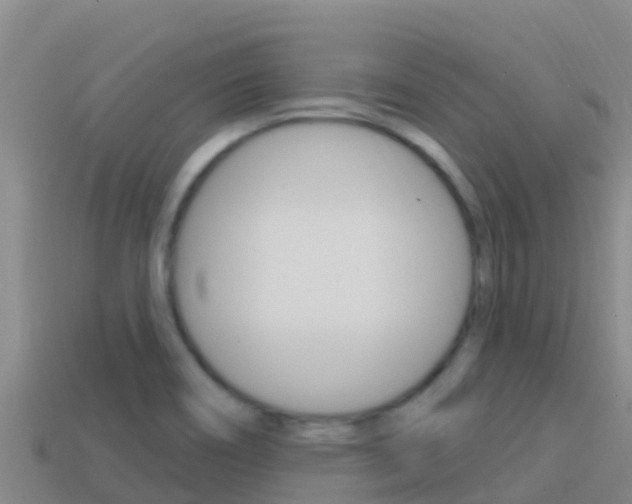 X0000114421466200910161043
