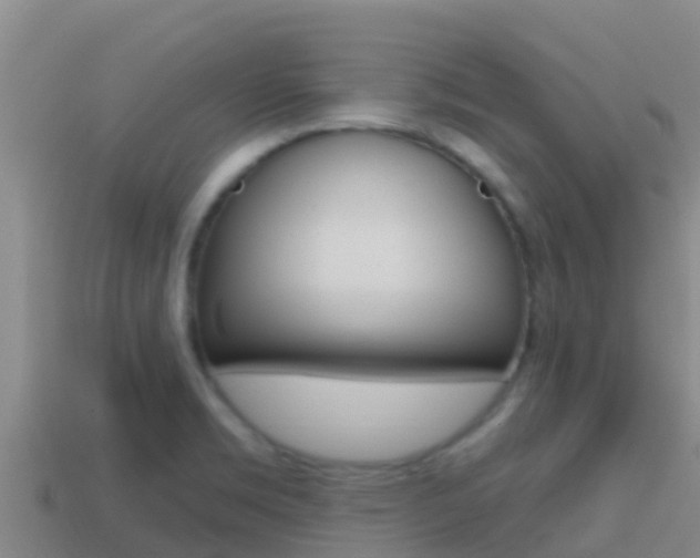 X0000114421469200910161043