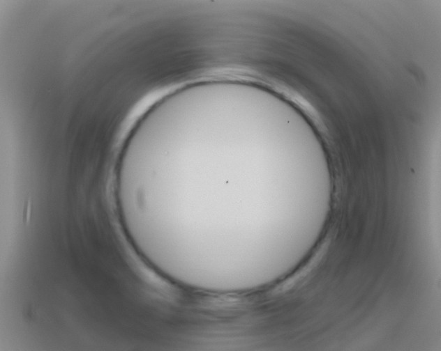 X0000114421470200910161043