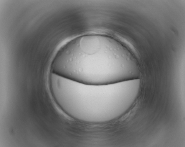 X0000114421471200910161043