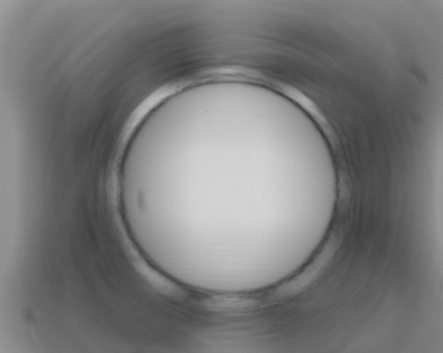 X0000114421474200910161043