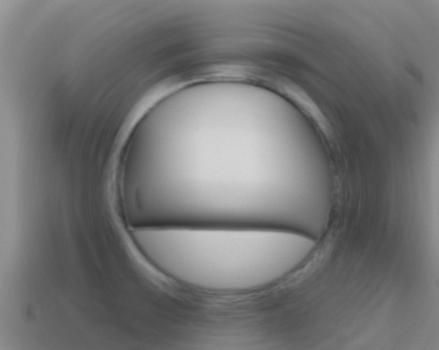 X0000114421475200910161043