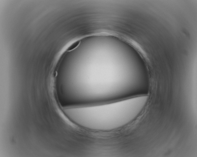 X0000114421476200910161042