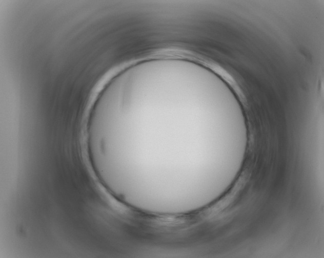 X0000114421478200910161042