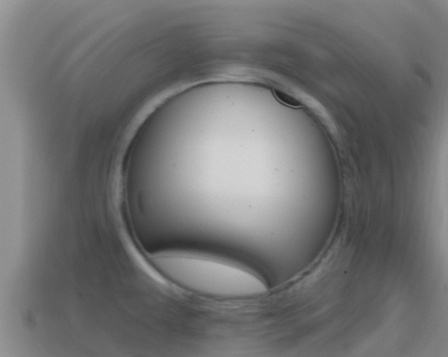 X0000114421479200910161042