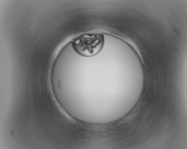 X0000114421480200910161042