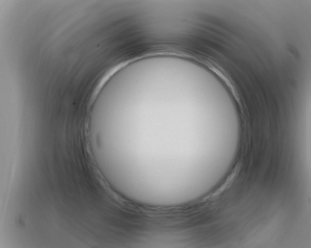 X0000114421481200910161042