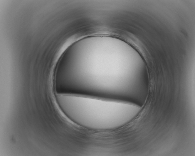 X0000114421483200910161042