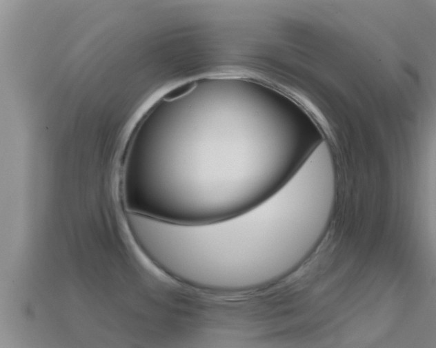 X0000114421484200910161042