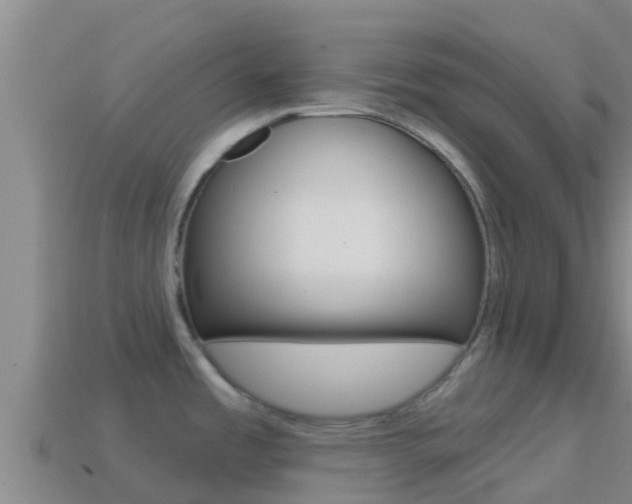 X0000114421485200910161042