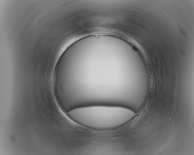 X0000114421487200910161042