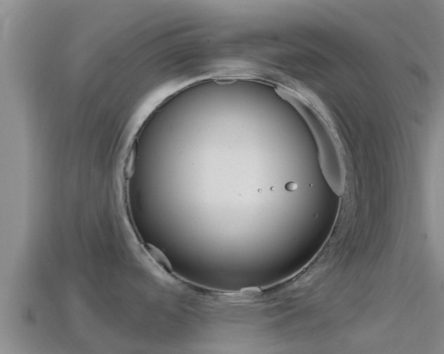 X0000114421488200910161042