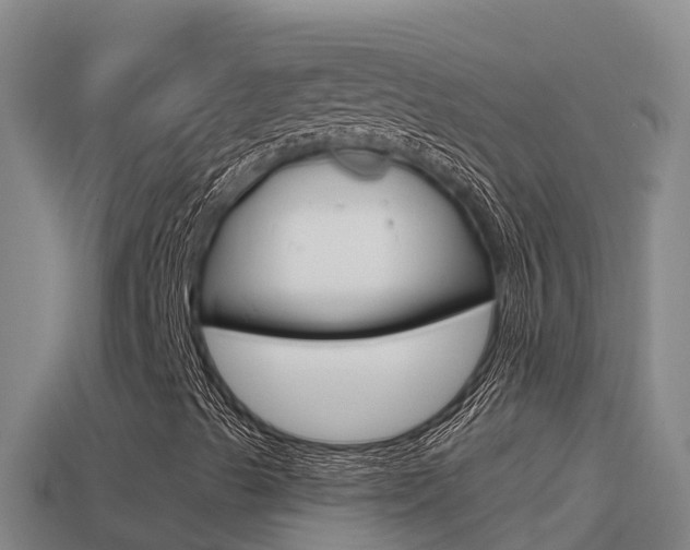 X0000114421489200910161042