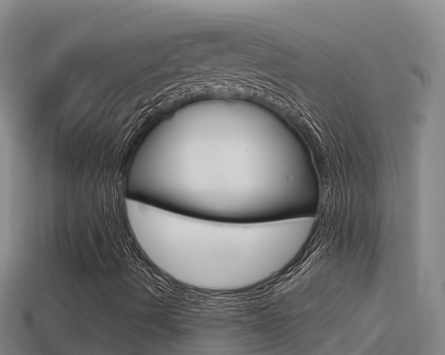X0000114421490200910161042
