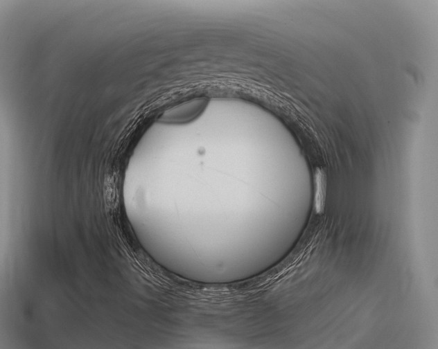X0000114421491200910161042