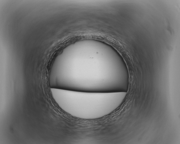 X0000114421493200910161042