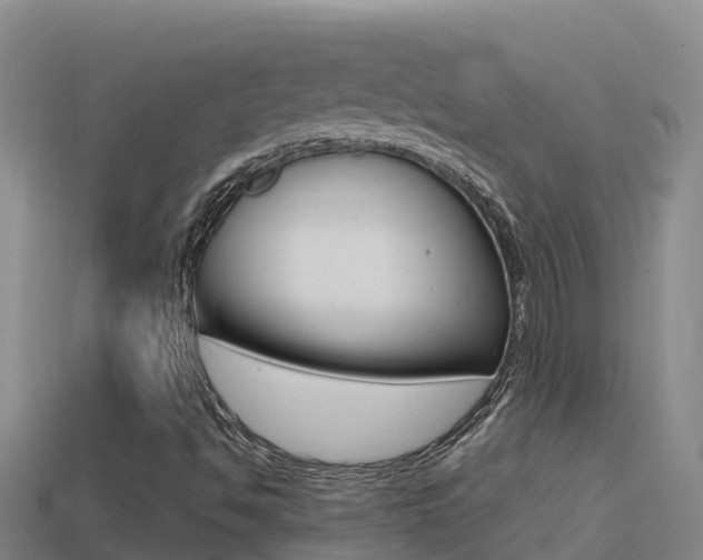 X0000114421494200910161042