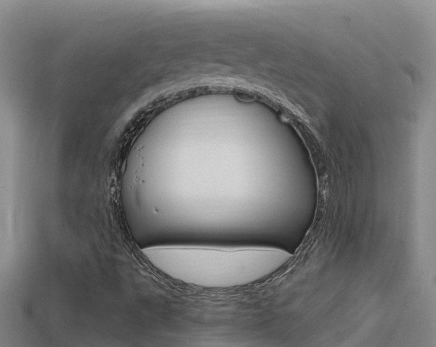 X0000114421495200910161042