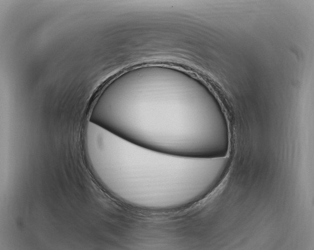 X0000114421497200910161042