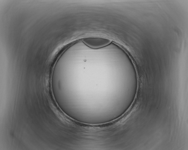 X0000114421499200910161042