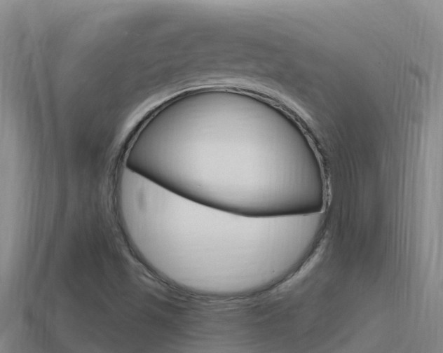 X0000114421501200910161042