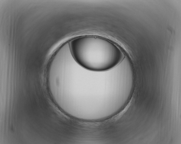 X0000114421502200910161042