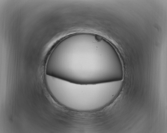 X0000114421503200910161042