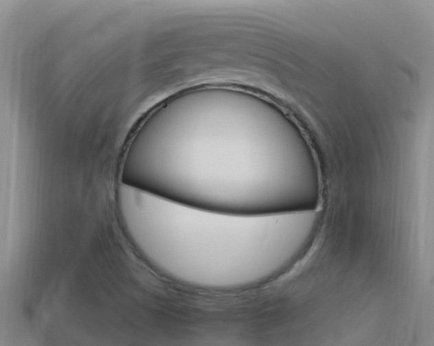 X0000114421505200910161042