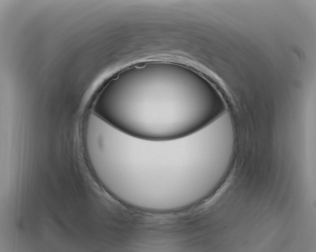 X0000114421506200910161042