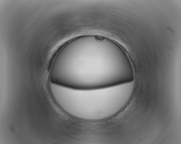 X0000114421507200910161042