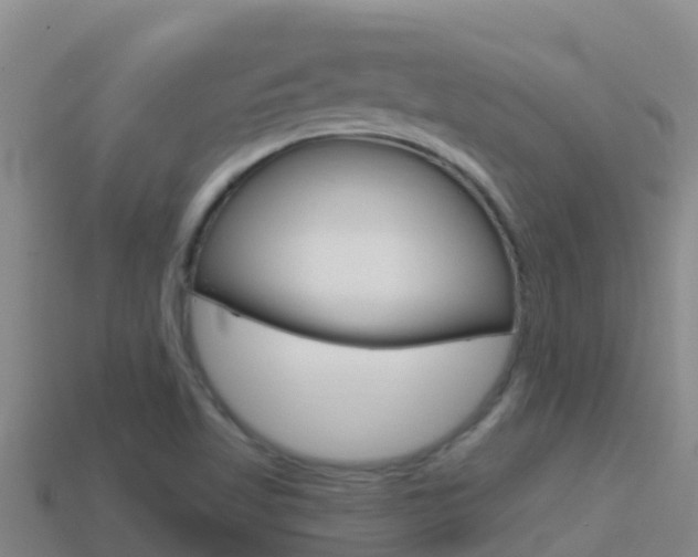 X0000114421509200910161042