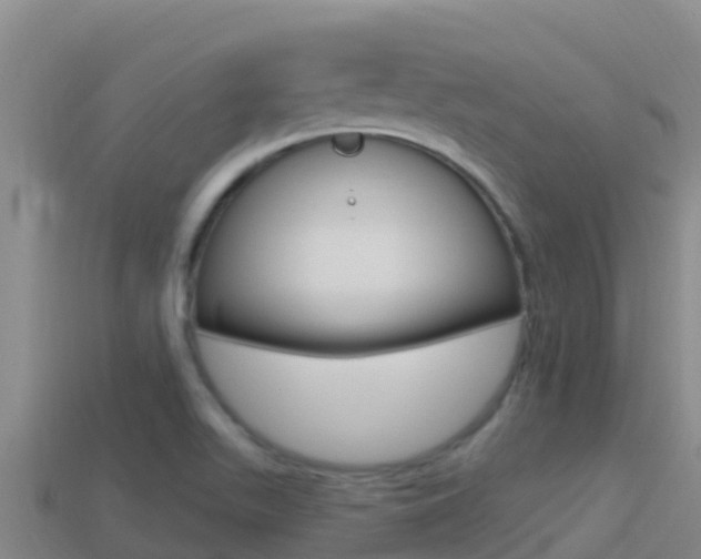 X0000114421511200910161042