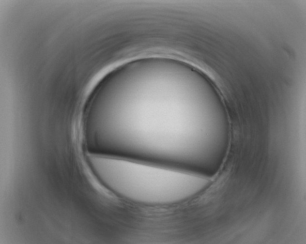 X0000114421515200910161042