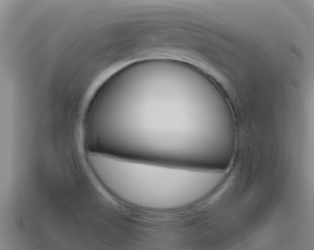 X0000114421517200910161042