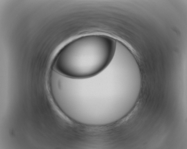 X0000114421518200910161042