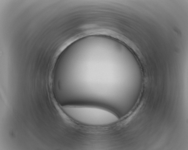 X0000114421521200910161042