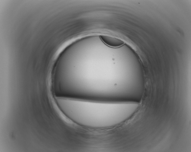 X0000114421523200910161042
