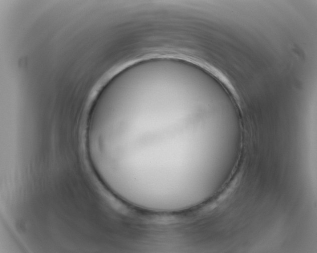 X0000114421525200910161042
