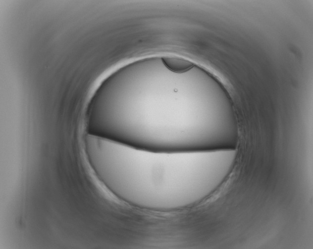 X0000114421526200910161042
