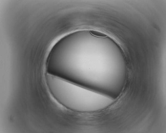 X0000114421527200910161042