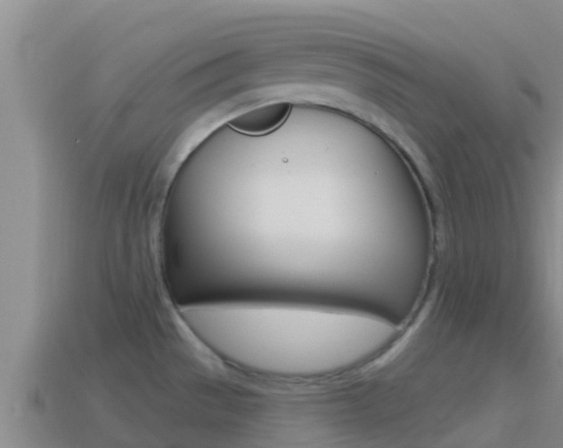 X0000114421529200910161042
