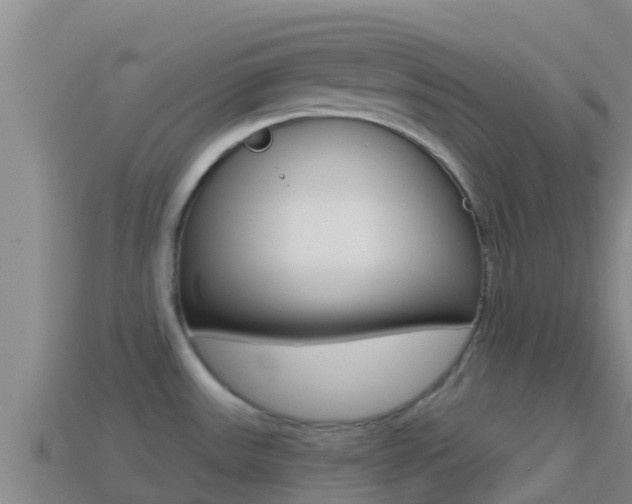 X0000114421531200910161042