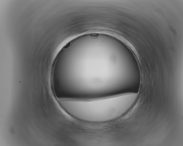 X0000114421533200910161042
