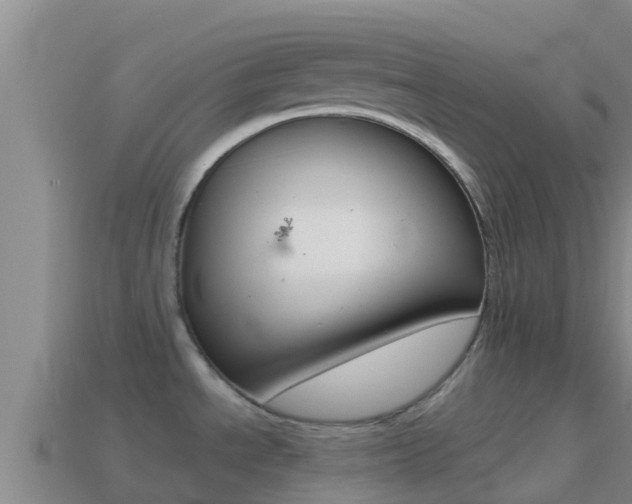 X0000114421534200910161042