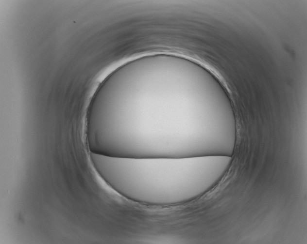 X0000114421535200910161042