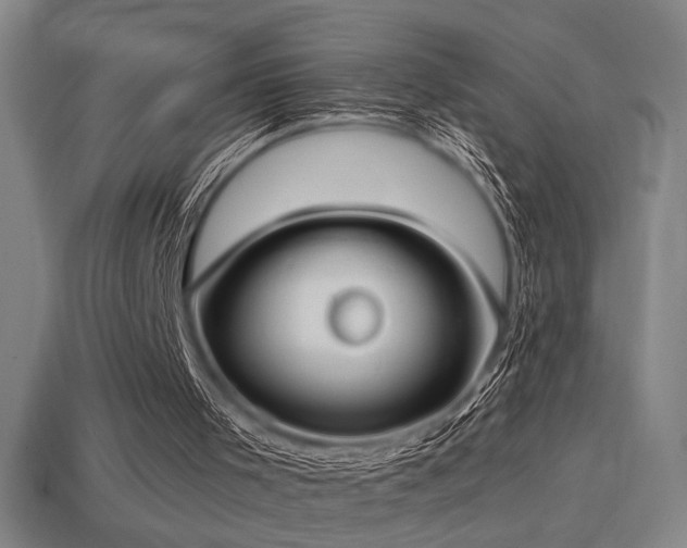 X0000114420001200910161238